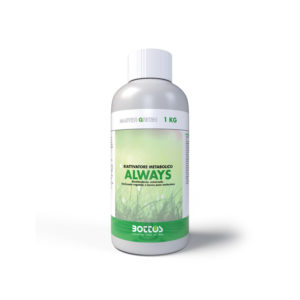 BOTTOS ALWAYS BIOSTIMOLANTE KG.1