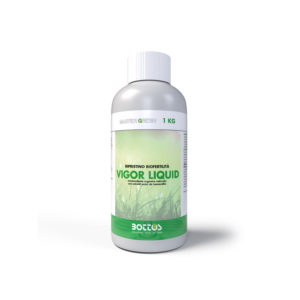 VIGOR LIQUID LIFE - Bottos / 1 Kg