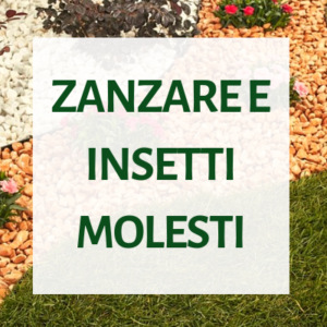 Zanzare e insetti molesti