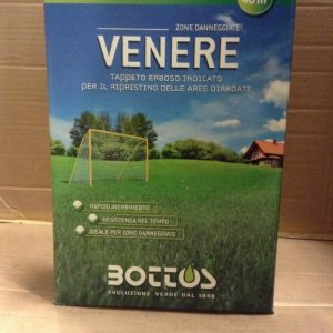 BOTTOS VENERE KG.1