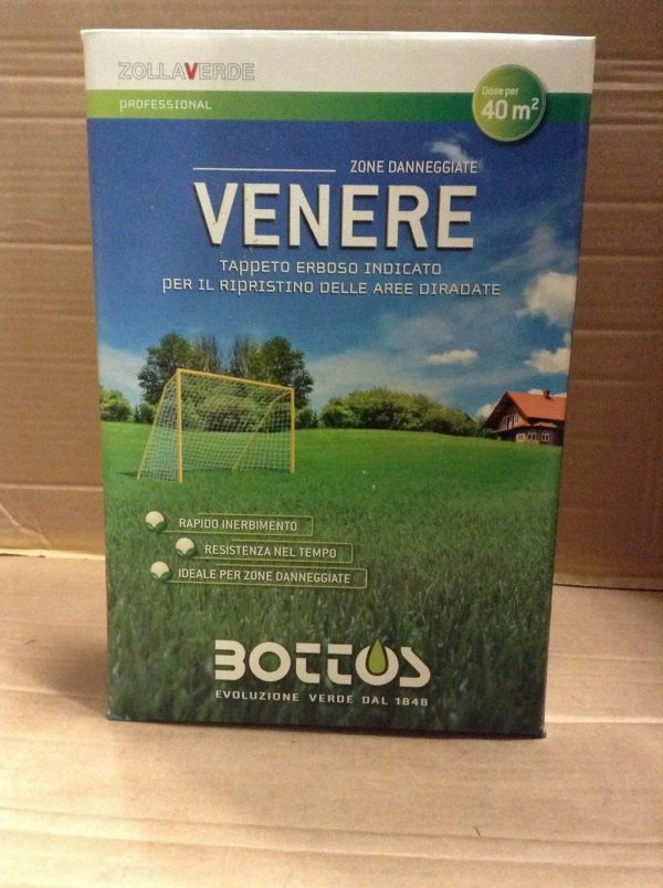 BOTTOS VENERE KG.1