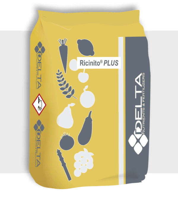 RICINITO PLUS KG.25