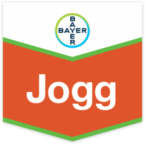 JOGG GR.200