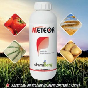 METEOR 1 LT