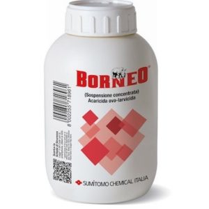 BORNEO ML.500