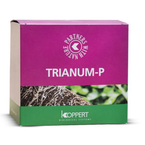 TRIANUM-P 500 GR