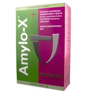 AMYLO-X 1 KG