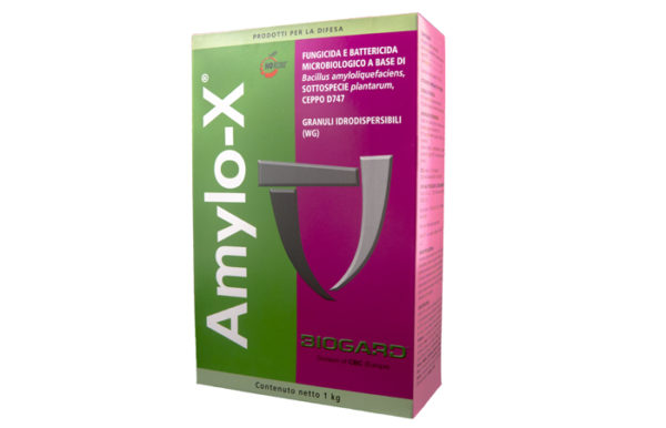 AMYLO-X 1 KG