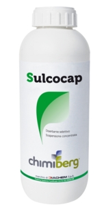 SULCOCAP LT.1