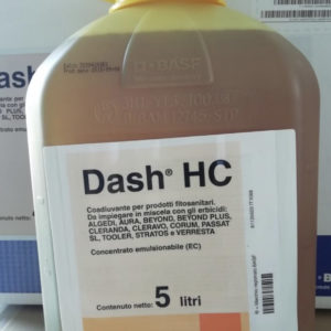DASH HC 5 LT
