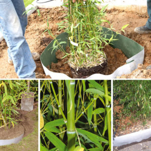 PLANTEX ROOTBARRIER H.0.5x30MTL (un rtl=15 mq)