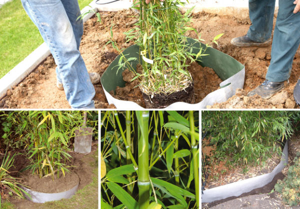PLANTEX ROOTBARRIER H.0.5x30MTL (un rtl=15 mq)