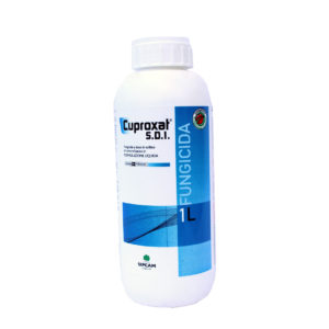CUPROXAT 1 LT