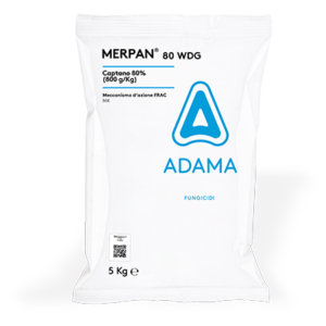 MERPAN 80 WDG 5 KG