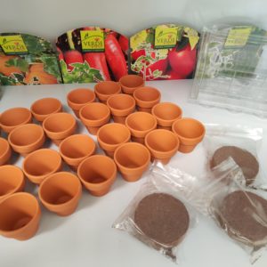 4 Mini serre per semi da germinazione