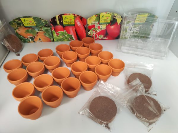 4 Mini serre per semi da germinazione