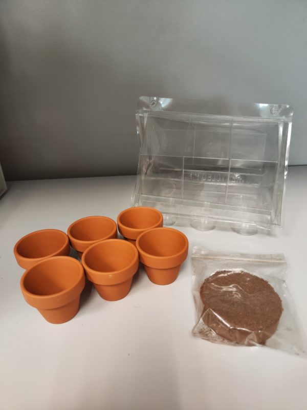4 Mini serre per semi da germinazione - immagine 2