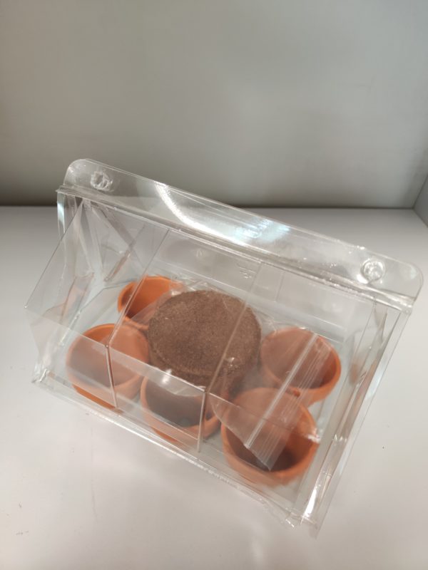 4 Mini serre per semi da germinazione - immagine 3