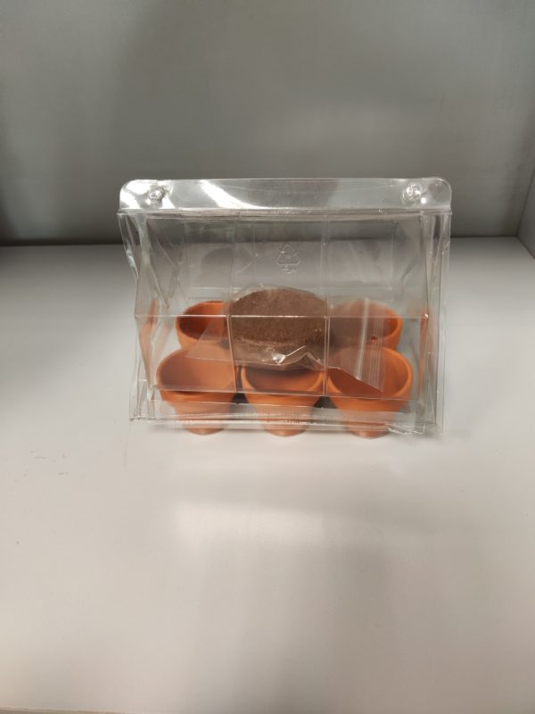 4 Mini serre per semi da germinazione - immagine 4