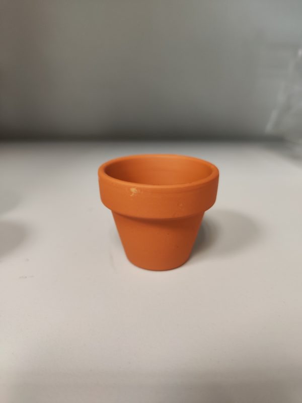 4 Mini serre per semi da germinazione - immagine 5