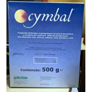 CYMBAL GR.500