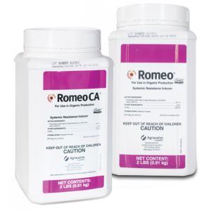 ROMEO CLP 17058 KG.1