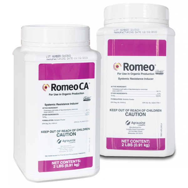 ROMEO CLP 17058 KG.1