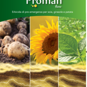 PROMAN FLOW LT.1