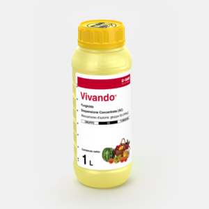 VIVANDO LT.1