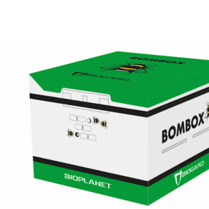 Bombi impollinatori in confezione Bombox