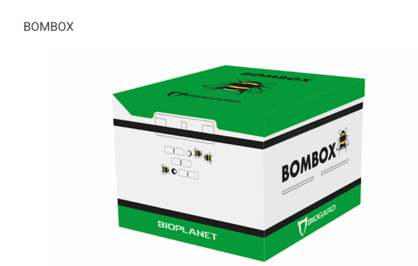 Bombi impollinatori in confezione Bombox