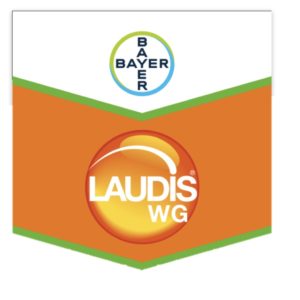 LAUDIS WG 1 KG