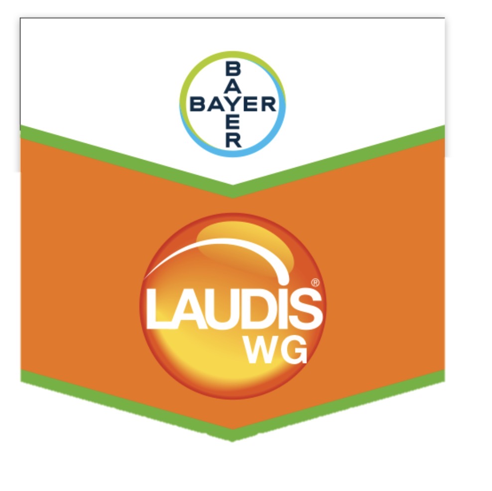 LAUDIS WG 1 KG
